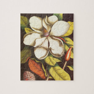 Oude magnoliabloemen plant met zaden legpuzzel