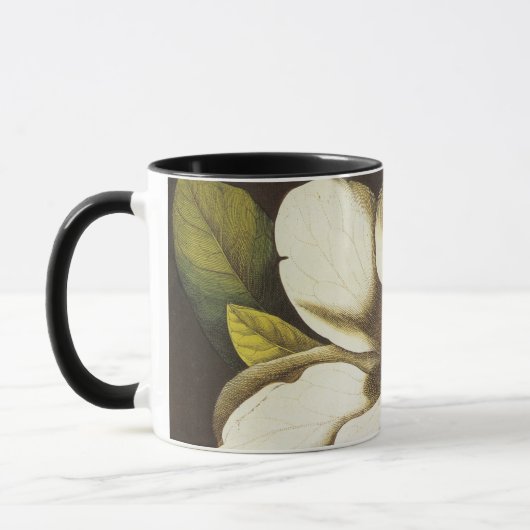 Oude magnoliabloemen plant met zaden mok (Links)