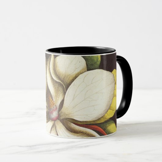 Oude magnoliabloemen plant met zaden mok (Voorkant rechts)