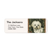 Oude Maltese of Bichon Frise pup Hond Etiket (Voorkant)