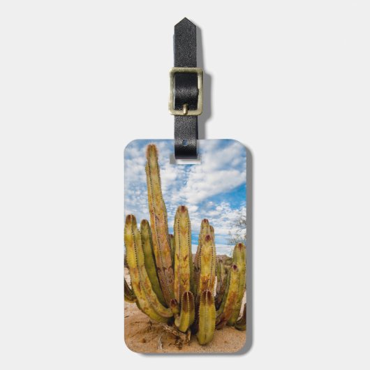 Oude Man Cactus portret, Mexico Bagagelabel (Voorkant verticaal)