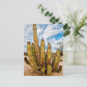 Oude Man Cactus portret, Mexico Briefkaart (Staand voorkant)