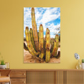 Oude Man Cactus portret, Mexico Canvas Afdruk (Insitu (Woonkamer))