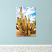 Oude Man Cactus portret, Mexico Canvas Afdruk (Insitu (Houten vloer))