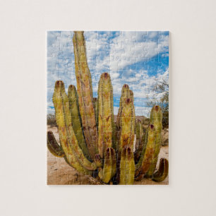 Oude Man Cactus portret, Mexico Legpuzzel