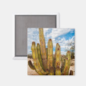 Oude Man Cactus portret, Mexico Magneet (Voorkant / Achterkant)