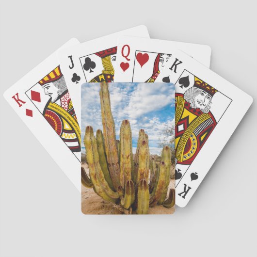 Oude Man Cactus portret, Mexico Pokerkaarten (Achterkant)