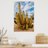 Oude Man Cactus portret, Mexico Poster (Keuken)