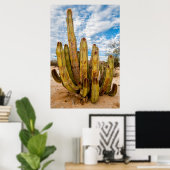 Oude Man Cactus portret, Mexico Poster (Thuiskantoor)