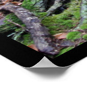 Oude Man Cave Ridge #1 Poster (Hoek)