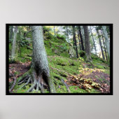 Oude Man Cave Ridge #1 Poster (Voorkant)