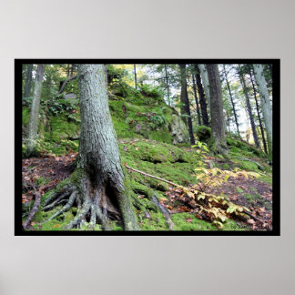 Oude Man Cave Ridge #1 Poster