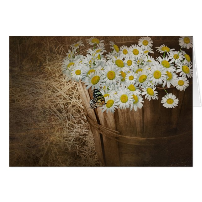 Oude mandje (Voorkant Horizontaal)