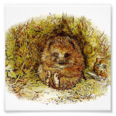 “Oude meneer Pricklepin” van Beatrix Potter Foto Afdruk (Voorkant)