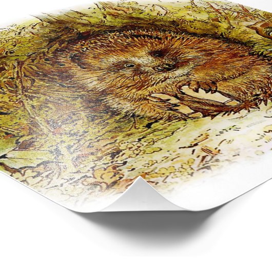 “Oude meneer Pricklepin” van Beatrix Potter Foto Afdruk (Hoek)