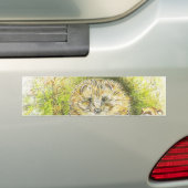 Oude meneer Prickly Pin (egel) (door Beatrix Potte Bumpersticker (Op auto)
