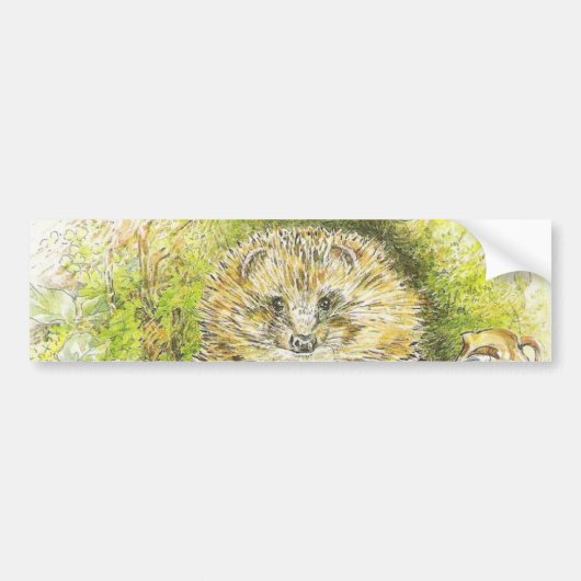 Oude meneer Prickly Pin (egel) (door Beatrix Potte Bumpersticker (Voorkant)