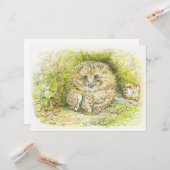 Oude meneer Prickly Pin (egel) (door Beatrix Potte Kaart (Voorkant / Achterkant in situ)