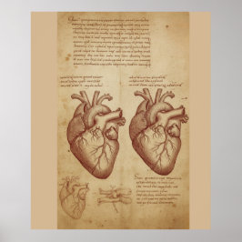 Oude Menselijke Hart Anatomie Wetenschappelijke St Poster