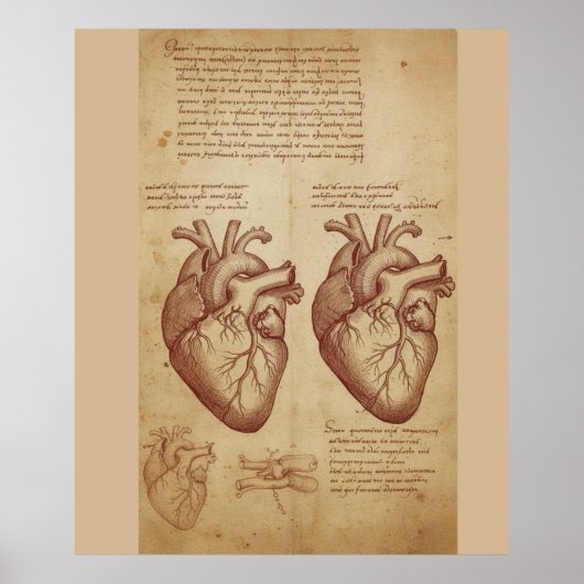 Oude Menselijke Hart Anatomie Wetenschappelijke St Poster (Voorkant)