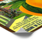 Oude missie Merk Sinaasappel Fruitkrat Label Poster (Hoek)