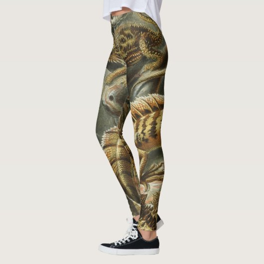 Oude mode-illustratie van Ernst Haeckel Lacertilia Leggings (Links)