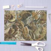 Oude mode-illustratie van Ernst Haeckel Lacertilia Tissuepapier (Craft)
