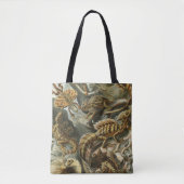 Oude mode-illustratie van Ernst Haeckel Lacertilia Tote Bag (Voorkant)