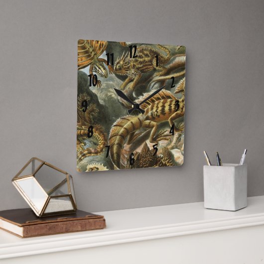 Oude mode-illustratie van Ernst Haeckel Lacertilia Vierkante Klok (Kantoor)