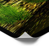 oude moeras poster (Hoek)