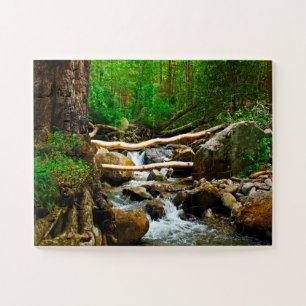 Oude Molen Gatlinburg Tennessee Legpuzzel