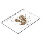 Oude-Money-Nagels Notitieboek (Linkerzijde)