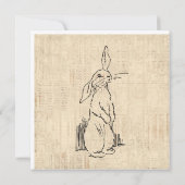 Oude Mopige Konijn Konijn Kunst Script Achtergrond Kaart (Achterkant)