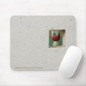 Oude moskee in Samarkand Muismat (Met muis)