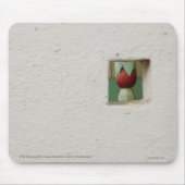 Oude moskee in Samarkand Muismat (Voorkant)