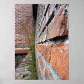 oude muur poster (Voorkant)