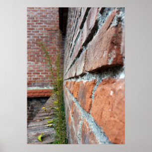 oude muur poster