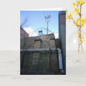 "Oude Muur van Hamm's Brewery"-wenskaart Kaart (Gele Bloem)