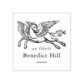Oude mythologische Pegasus Ex Libris boek Rubberstempel (Afrduk)