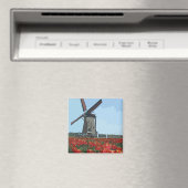 Oude Nederlandse windmolen Magneet (Insitu (Vaatwasser))