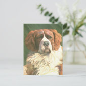 Oude Newfoundlander hond Briefkaart (Staand voorkant)