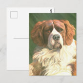 Oude Newfoundlander hond Briefkaart (Voorkant / Achterkant)