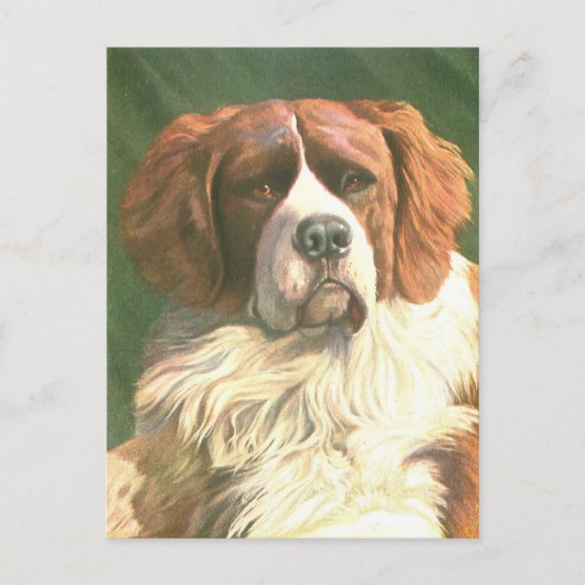 Oude Newfoundlander hond Briefkaart (Voorkant)
