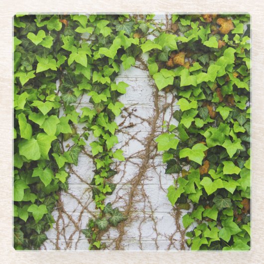 Oude & nieuwe groei glazen onderzetter (Voorkant)