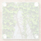 Oude & nieuwe groei glazen onderzetter (Achterkant)