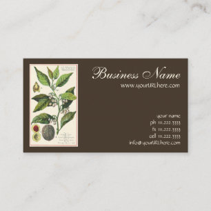 Oude nootmuskaatplant fruit zaden, eetbare kruiden visitekaartje