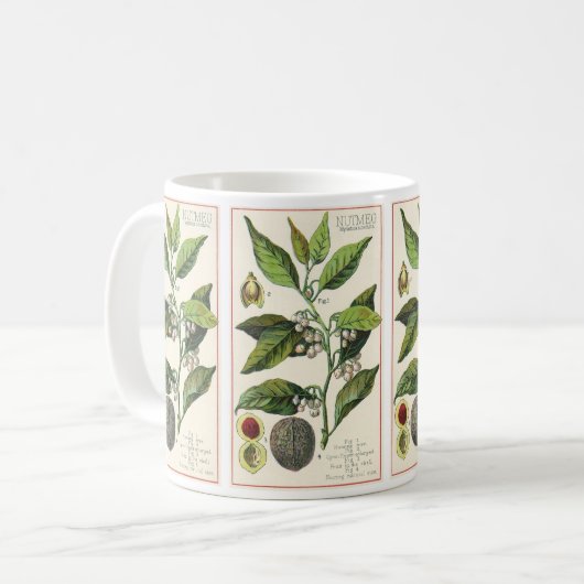 Oude nootmuskaatplant fruit zaden, voedsel kruiden koffiemok (Voorkant links)