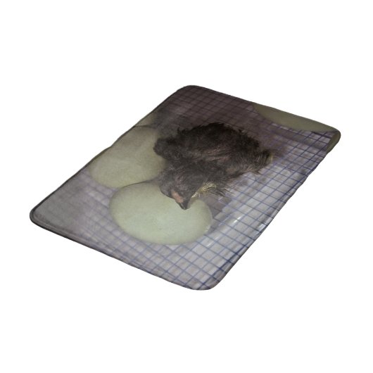 Oude notulen badmat (Gekanteld)