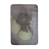 Oude notulen badmat (Voorkant Verticaal)