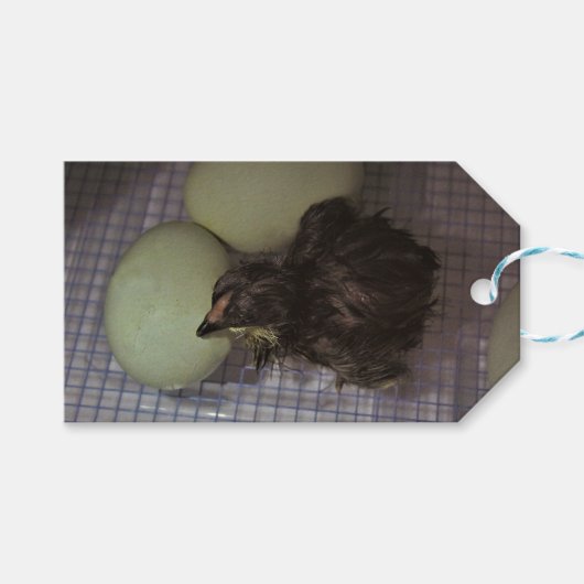 Oude notulen cadeaulabel (Voorkant (Horizontaal))